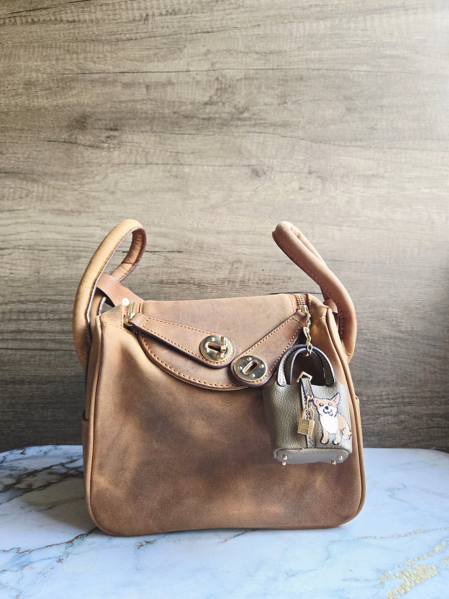 Tiny Chihuahua Doggy Bag